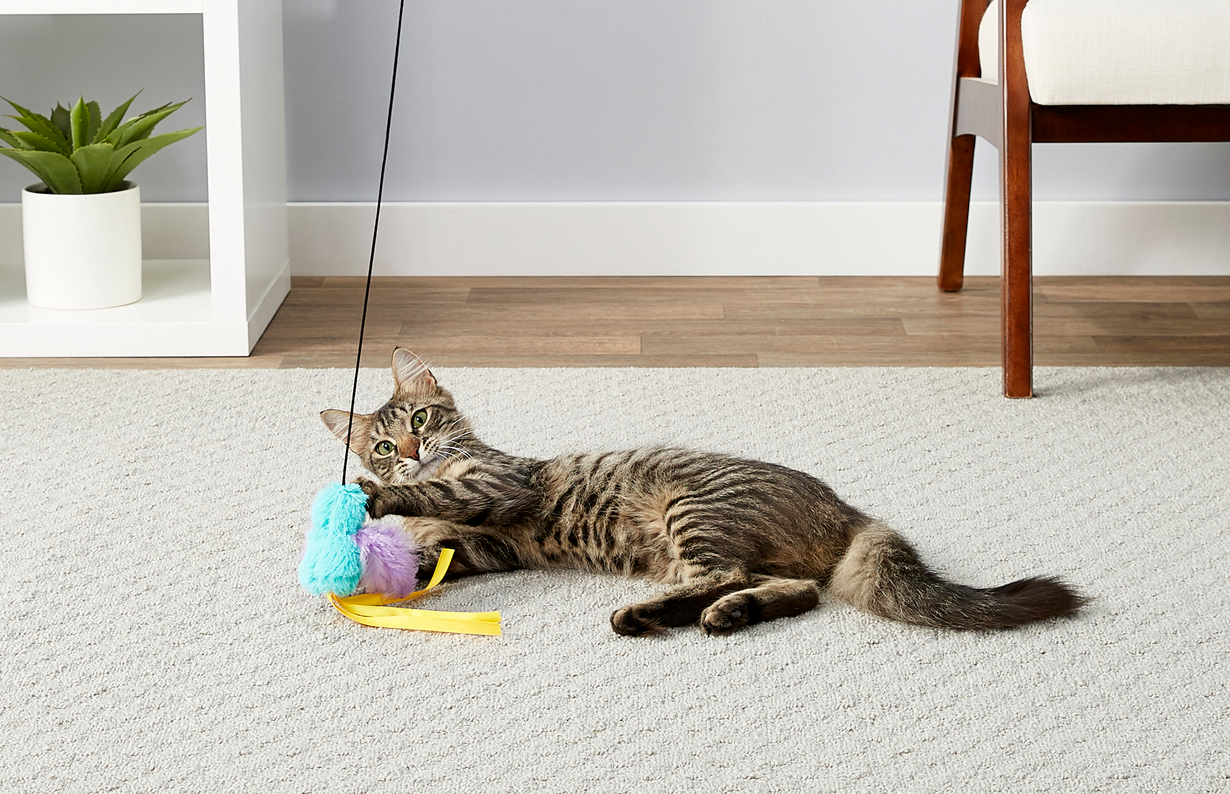 A cat lays on the rug playing with its toy